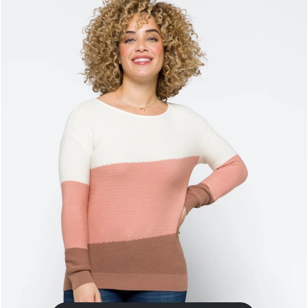 Evolution By Cyrus Tarley Color Block Pullover Sweater Sz S Stitch Fix NWT